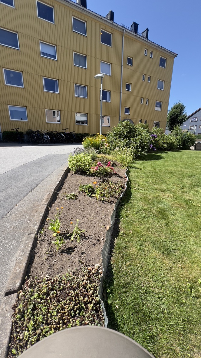 Ferdig luket fellesareal i borettslag