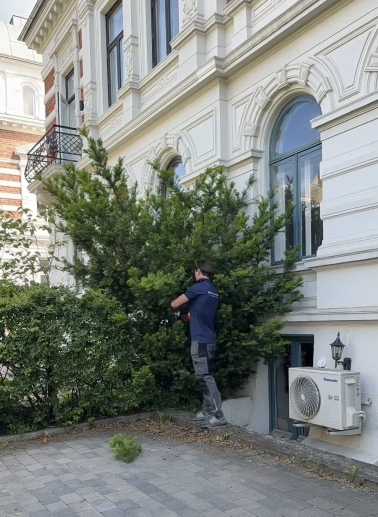 Hekkeklipp i bakgård